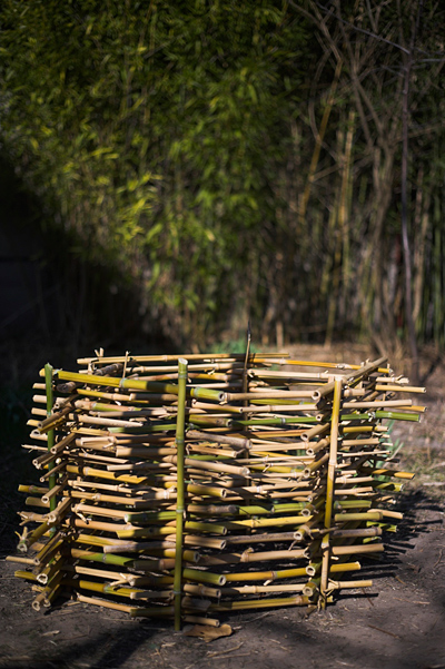 Bambusz-erõd